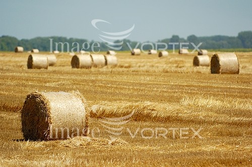 Industry / agriculture royalty free stock image #274955145