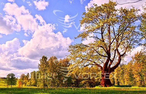 Nature / landscape royalty free stock image #276269425