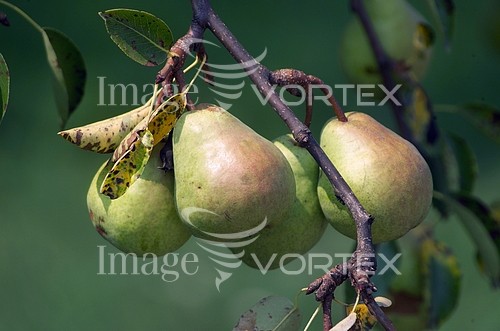Industry / agriculture royalty free stock image #276057317