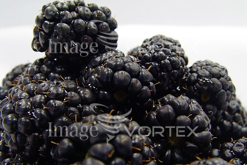 Food / drink royalty free stock image #277620374