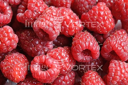 Food / drink royalty free stock image #281092801
