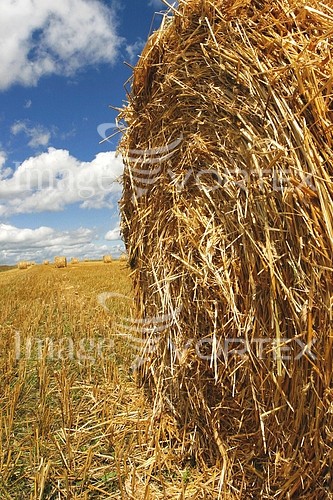 Industry / agriculture royalty free stock image #285935878