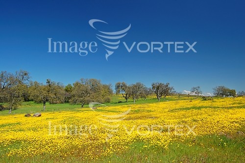 Nature / landscape royalty free stock image #289540113