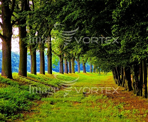 Park / outdoor royalty free stock image #289379390