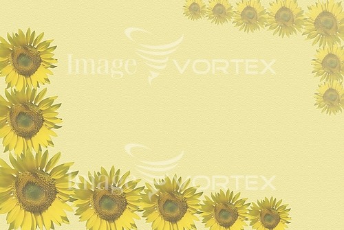 Background / texture royalty free stock image #291054420