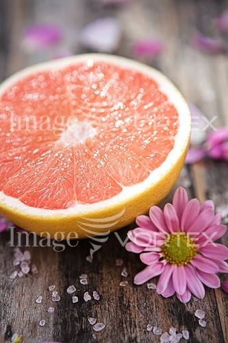 Food / drink royalty free stock image #291270653