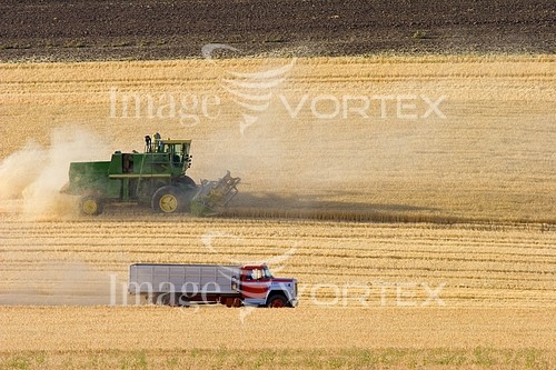 Industry / agriculture royalty free stock image #293622513