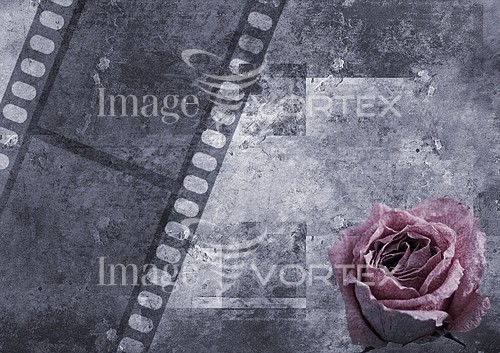 Background / texture royalty free stock image #294146483