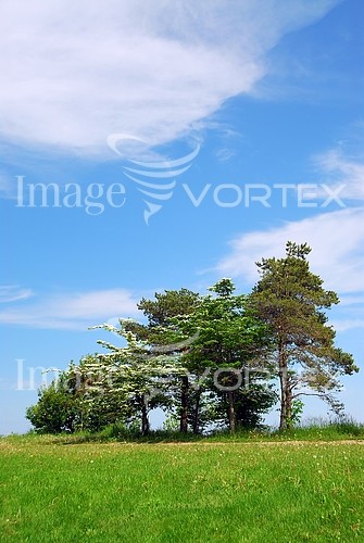 Nature / landscape royalty free stock image #294814764