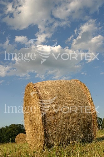 Industry / agriculture royalty free stock image #296918562