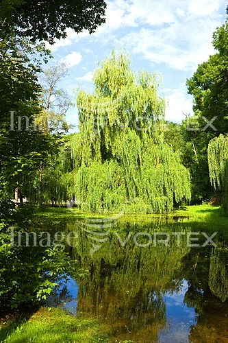Park / outdoor royalty free stock image #296518127
