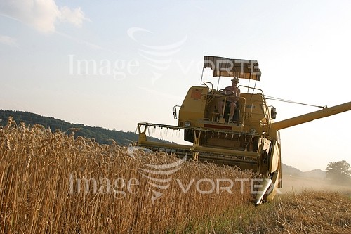 Industry / agriculture royalty free stock image #297192127