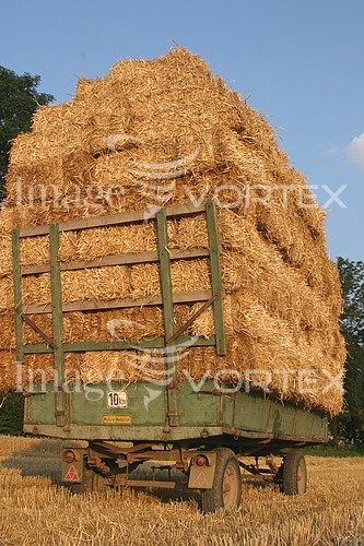 Industry / agriculture royalty free stock image #297290884