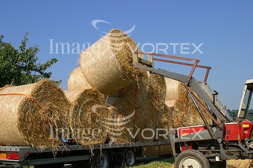 Industry / agriculture royalty free stock image #297399483
