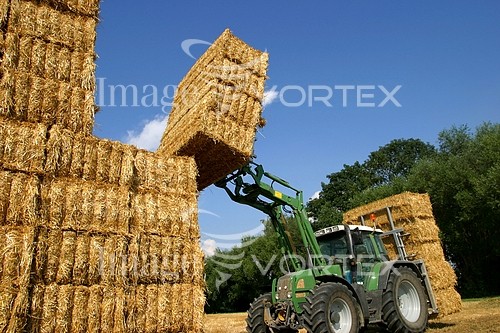 Industry / agriculture royalty free stock image #297627668