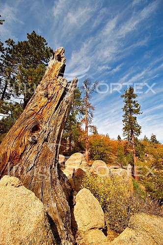 Nature / landscape royalty free stock image #297766559