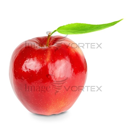 Food / drink royalty free stock image #298502878