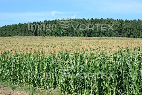 Industry / agriculture royalty free stock image #300930760