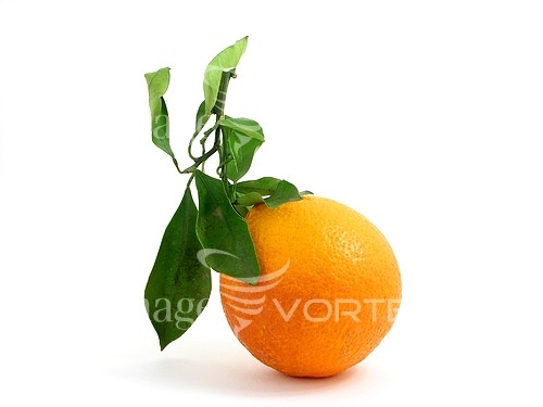 Food / drink royalty free stock image #301989166