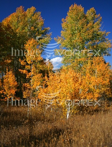 Nature / landscape royalty free stock image #302510770