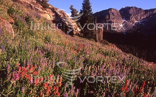 Nature / landscape royalty free stock image #307805442