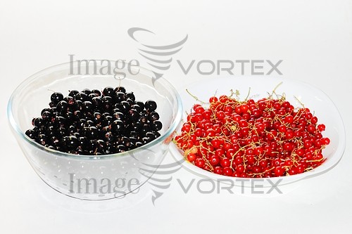 Food / drink royalty free stock image #310193966