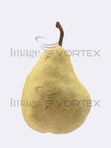 Food / drink royalty free stock image #310901477