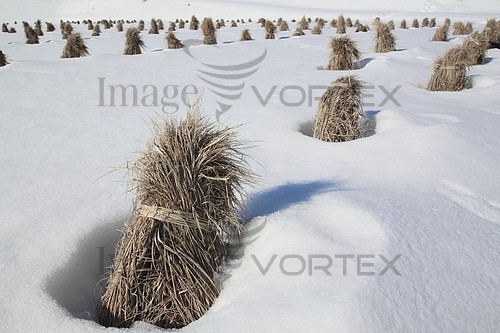Industry / agriculture royalty free stock image #312904424
