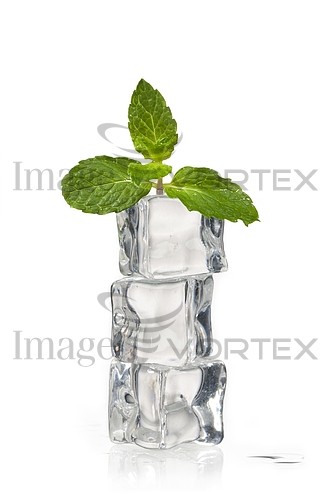 Food / drink royalty free stock image #312535604