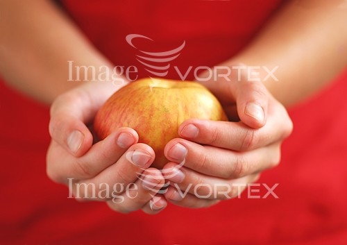 Food / drink royalty free stock image #317121839