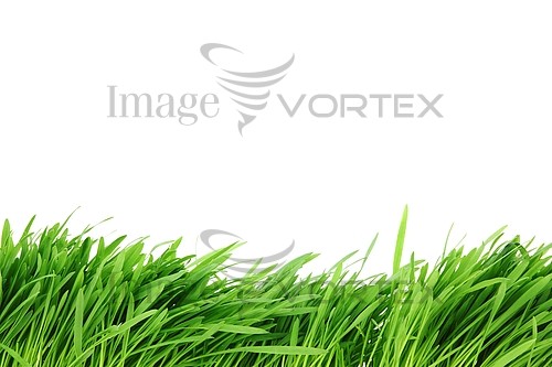 Industry / agriculture royalty free stock image #317623361