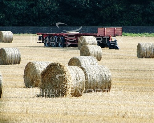 Industry / agriculture royalty free stock image #318464158