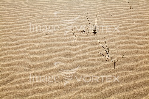 Background / texture royalty free stock image #319714698