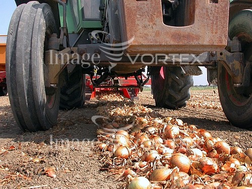 Industry / agriculture royalty free stock image #323898000