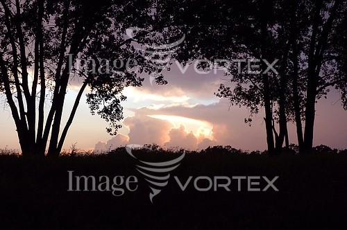 Nature / landscape royalty free stock image #323036559