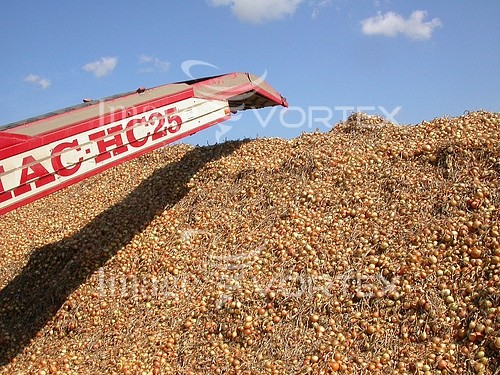 Industry / agriculture royalty free stock image #324285417