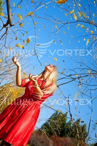 Park / outdoor royalty free stock image #326272592