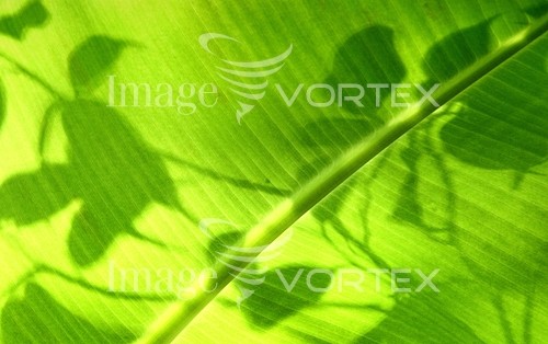 Background / texture royalty free stock image #326492039