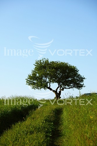 Nature / landscape royalty free stock image #328500631