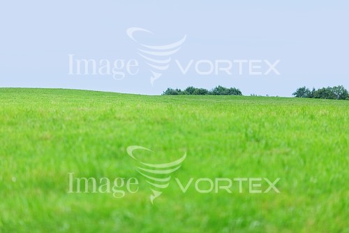 Industry / agriculture royalty free stock image #331394625