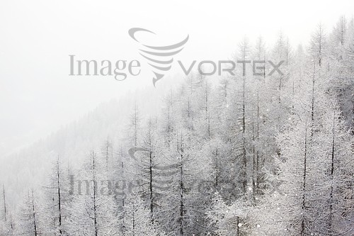 Nature / landscape royalty free stock image #331143568
