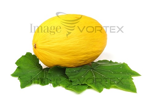 Food / drink royalty free stock image #331592538