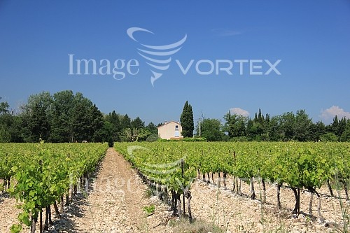 Industry / agriculture royalty free stock image #333727755