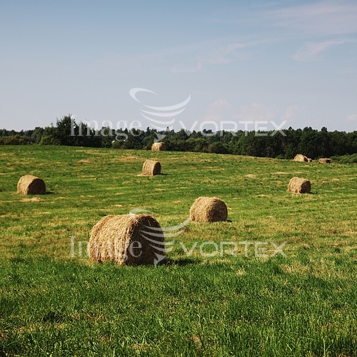 Industry / agriculture royalty free stock image #338285277