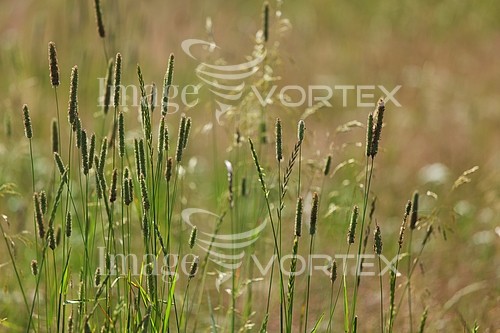 Industry / agriculture royalty free stock image #338363316