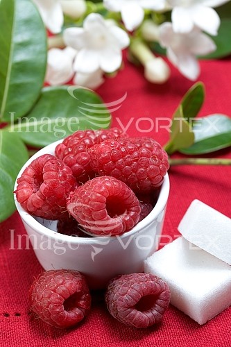 Food / drink royalty free stock image #341241310