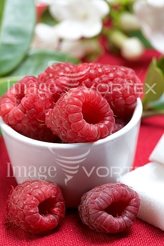 Food / drink royalty free stock image #341310317