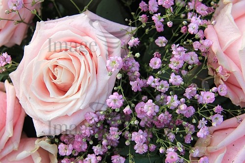 Flower royalty free stock image #344565326