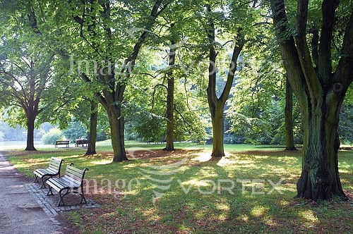 Park / outdoor royalty free stock image #346071966