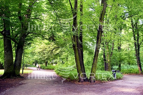 Park / outdoor royalty free stock image #346086539